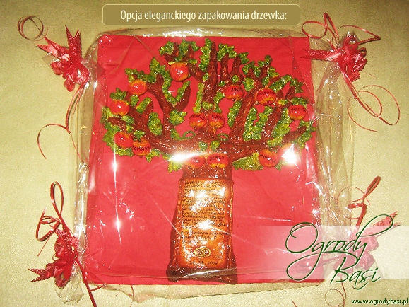 prezent na rocznic�