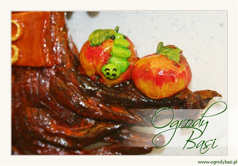 Drzewo Genealogiczne - robaczywe jab�ko