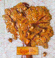 Nowo��: Mapa Polski!